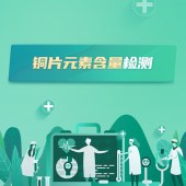 铜片元素含量检测